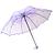 Modus Guarda-chuva Transparente Do Projeto Da Flor Sombra Externa E Ferramentas De Proteção Contra Chuva